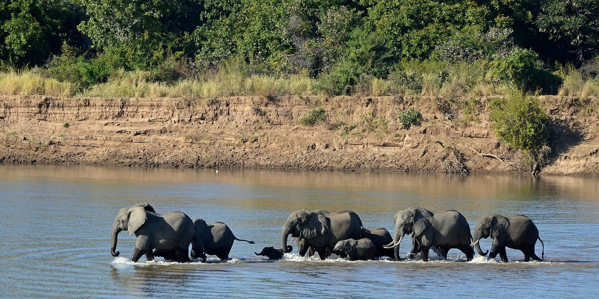 South-Luangwa-Nationalpark, Sambia